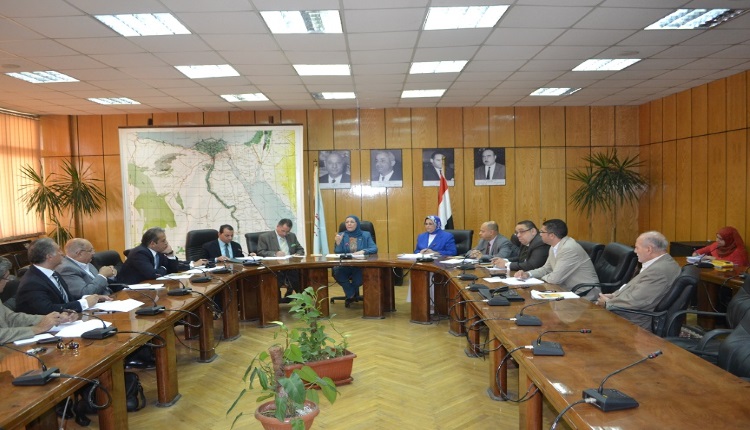 2015 - أحد اجتماعات اللجنة برئاسة الوزيرة الدكتورة ناهد العشري