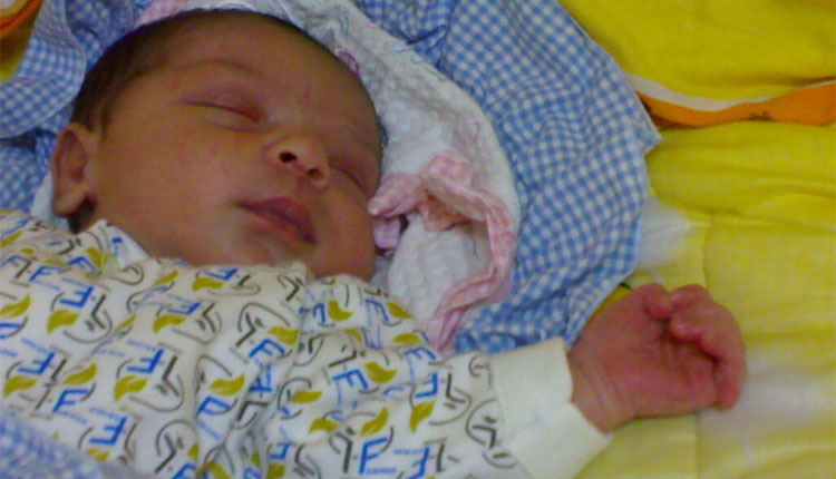 2008 - الحفيد أنس مازن الصياد